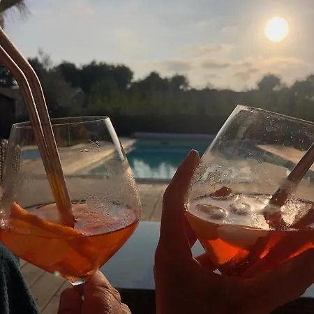 Cap Ferret Superbe Bois Avec Piscine