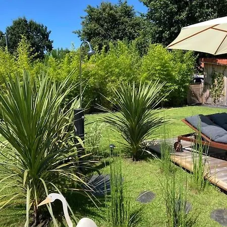 Cap Ferret Superbe Bois Avec Piscine Villa Lège-Cap-Ferret