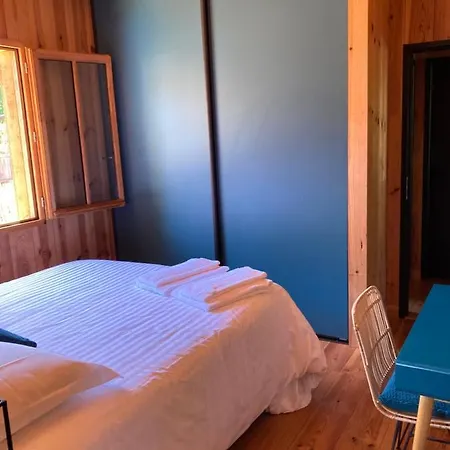 Villa Cap Ferret Superbe Bois Avec Piscine