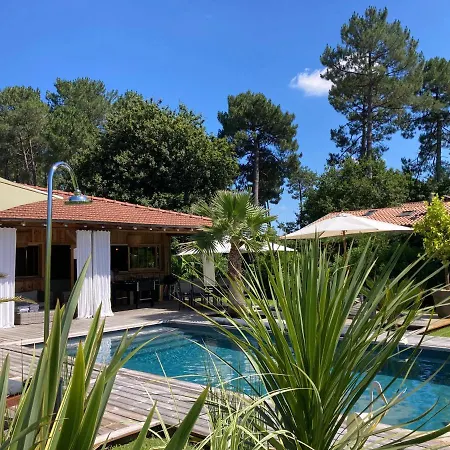 Cap Ferret Superbe Bois Avec Piscine Villa Lège-Cap-Ferret