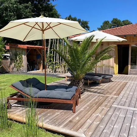 Cap Ferret Superbe Bois Avec Piscine * Lège-Cap-Ferret
