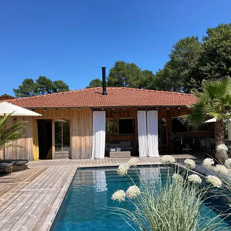 Cap Ferret Superbe Bois Avec Piscine