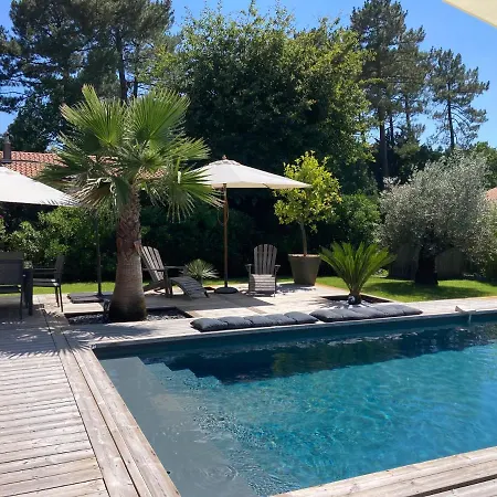 Cap Ferret Superbe Bois Avec Piscine Villa *